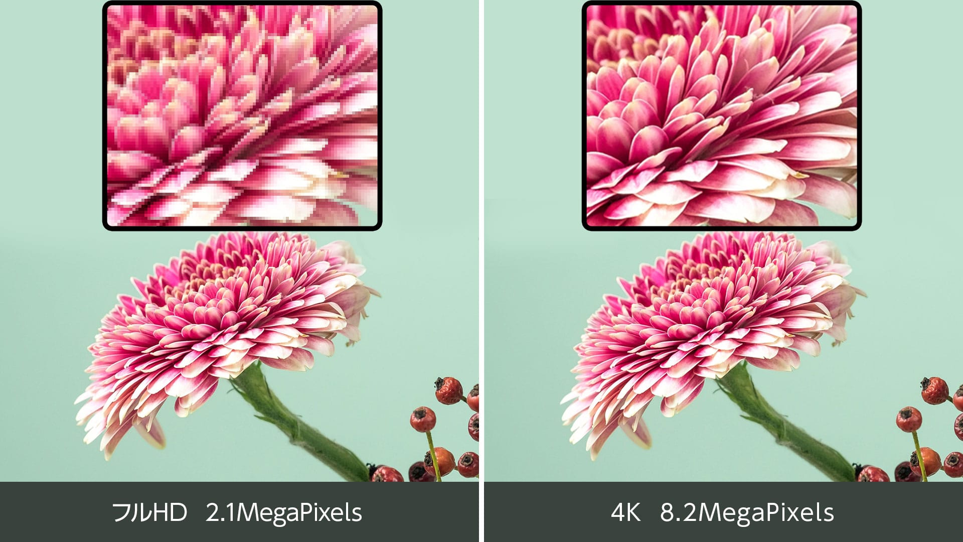 8.3MegaPixelsと約10.7億色の表現力